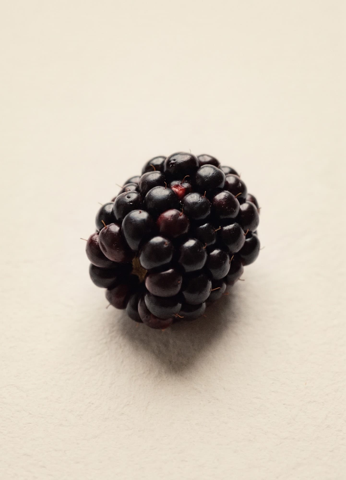 Preserves